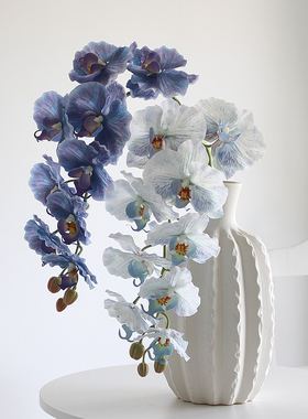 高档蝴蝶兰仿真花客厅餐桌插花摆件拍摄道具手感假花装饰花艺摆设