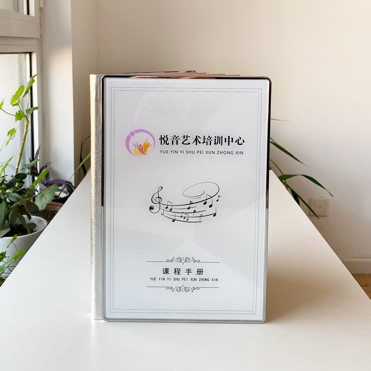 定制钢琴古筝舞蹈乐器艺术培训水晶价目册美术书法学校课程价格表