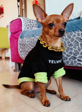 迷你杜宾犬小鹿专用狗冬衣