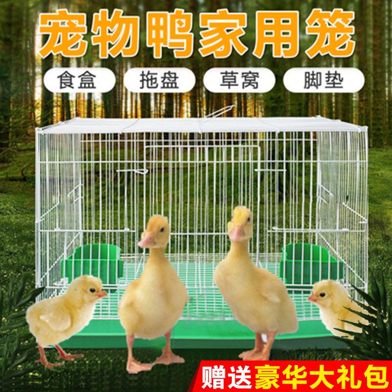 鸭子笼家用室内小鸡饲养窝图片