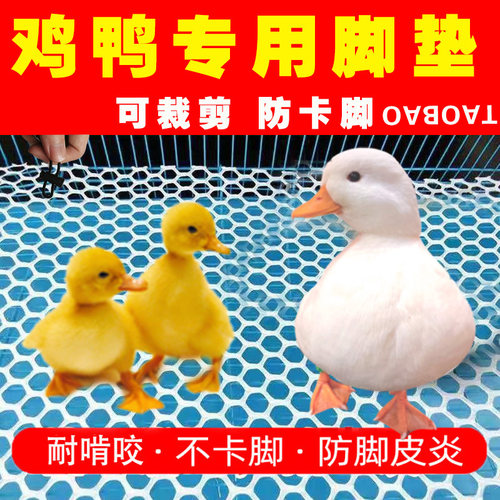 宠物小鸡鸭笼子专用脚垫芦