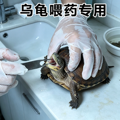 草龟专用喂药器开口器爬宠不吃东西拒食喂食针管灌药撬嘴器工具
