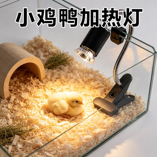 小鸡鸭专用晒背灯爬宠太阳灯蜥蜴uva补钙保温加热uvb灯泡照明光谱