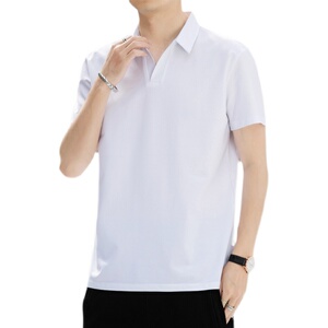 跑量款夏季男士翻领短袖T恤冰丝棉V 领休闲polo衫打底上衣211P33图片