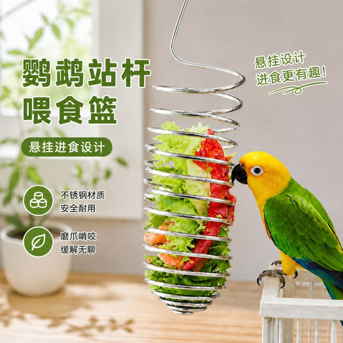 鸟类喂食器不锈钢水果蔬菜