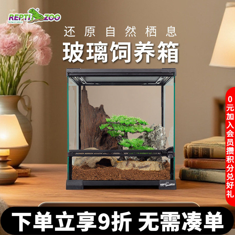 REPTIZOO瑞皮蜥蜴饲养鬃狮变色龙