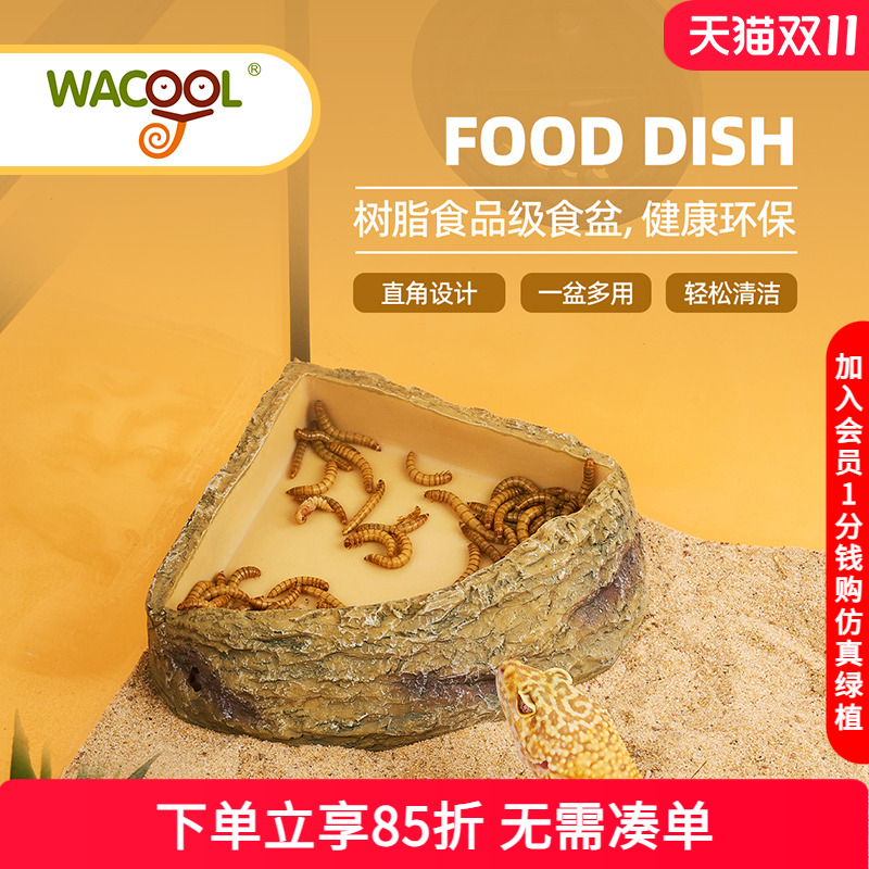 玩酷爬宠食盆水盆造景