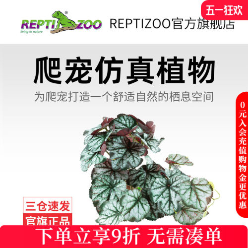 瑞皮Reptizoo爬宠箱造景植物