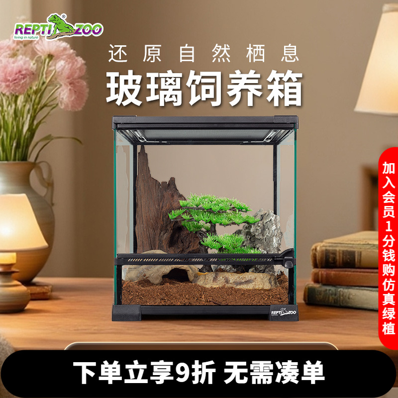 reptizoo蜥蜴饲养宠鬃狮变色龙