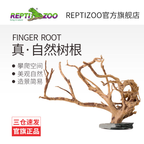 REPTIZOO瑞皮杜鹃根爬宠造景摆件