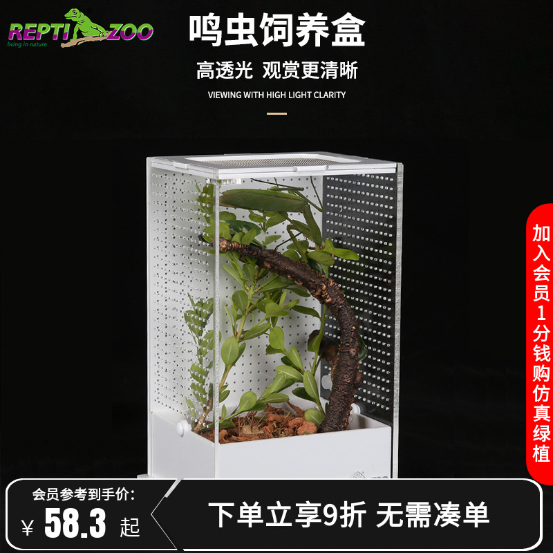 reptizoo亚克力饲养盒竹昆虫