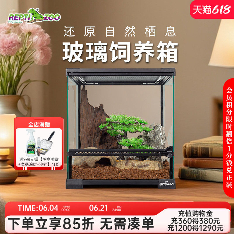 瑞皮Reptizoo蜥蜴饲养箱爬宠鬃狮角蛙豹纹守宫睫角桌面玻璃缸雨林