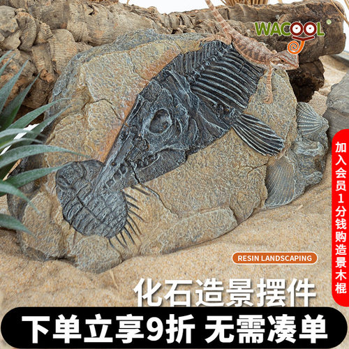 瑞皮reptizoo化石造景摆件装饰物