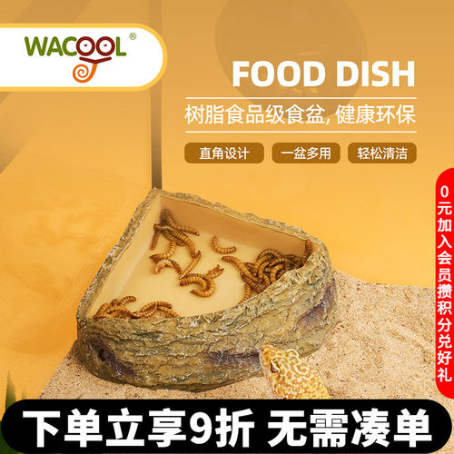 玩酷爬宠食盆水盆造景
