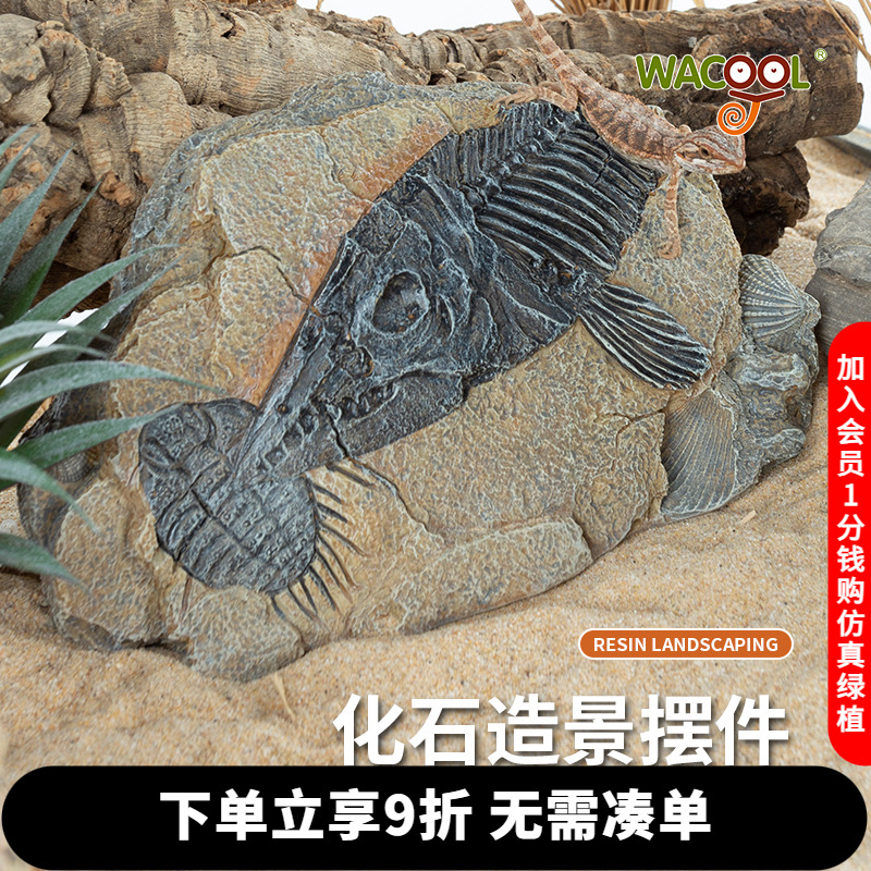瑞皮reptizoo化石造景摆件装饰物