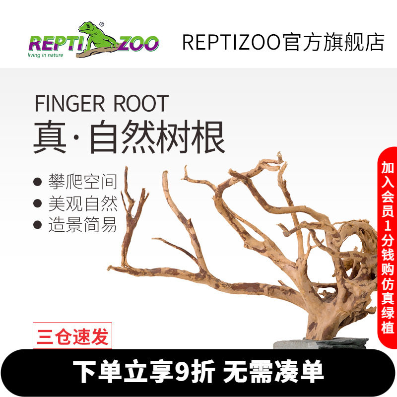 天然杜鹃根爬宠造景摆件