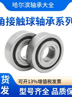 HRB 7006 CETA P4 哈尔滨精密磨头轴承磨床电主轴 内径30mm外55mm