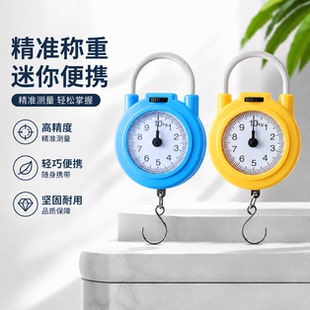 精准迷你手提电子秤高精度小型便携式吊秤弹簧秤家用钩称随身小秤