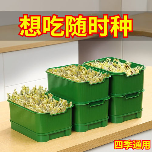 育苗盘种植发芽盆豆芽机