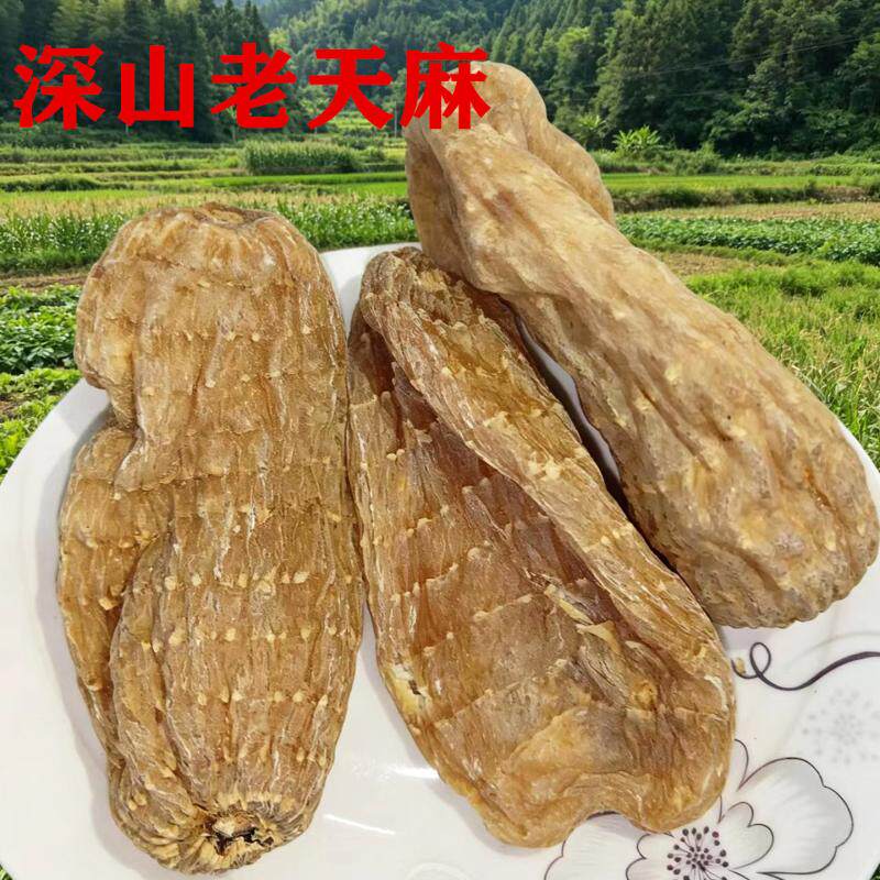 云南昭通天麻小草坝露天野地特级老天麻治头痛1斤10个大天麻包邮