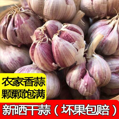 当季紫皮大蒜云南新鲜干大蒜头10斤装蒜种籽2026当季蔬菜红皮干蒜