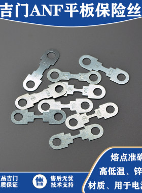 平板式保险片40A110A175A