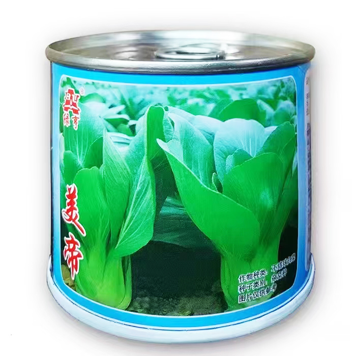 美帝小白菜青梗菜种子种籽100g耐热综合抗性好产量大新鲜上海