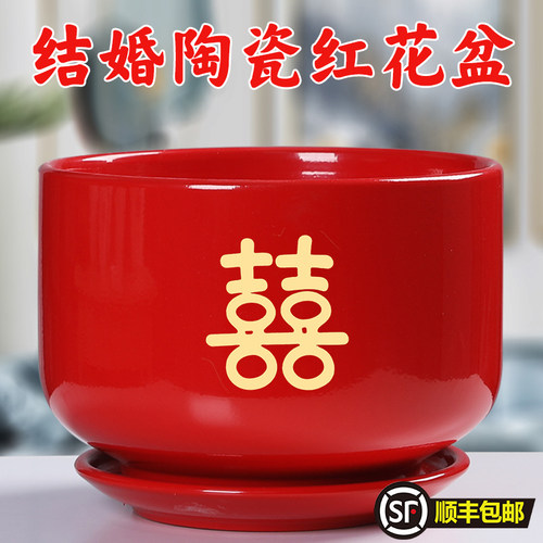 结婚用的喜庆礼物红花盆陶瓷大号特大家用简约带托盘创意绿植盆栽