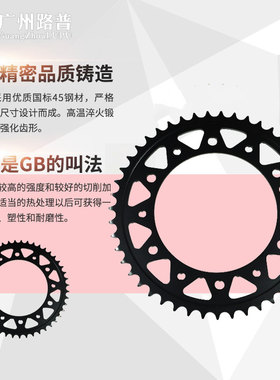 适用BMW F650 F650GS F700 F800 F800R后链轮链盘牙盘齿轮大飞525