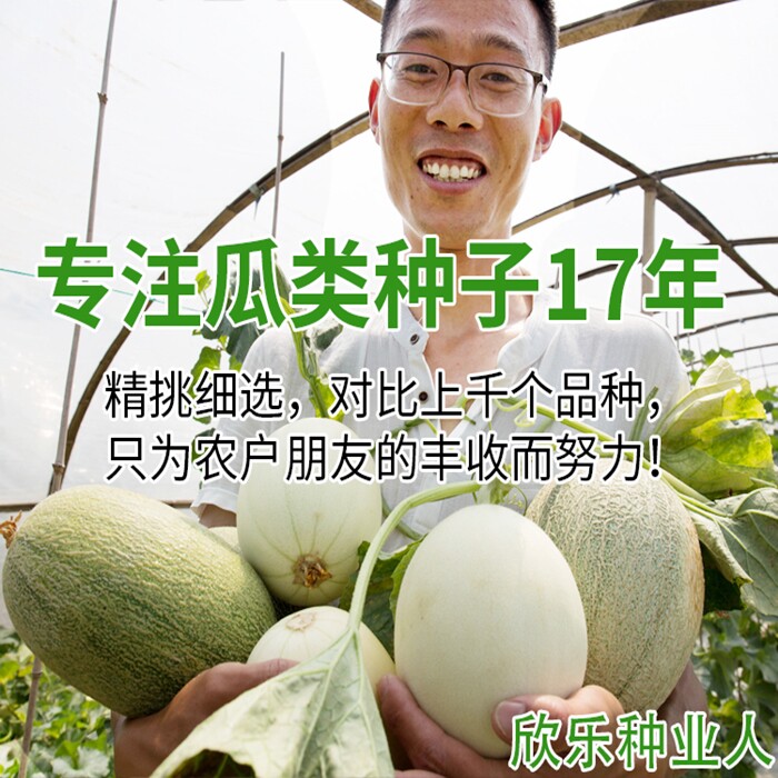 东方蜜西洲蜜耀珑哈密瓜籽美都西瓜久红瑞玉菇博洋9羊角酥黄金瓜