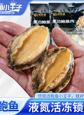 鲍鱼小王子去壳鲍鱼15-40头500g 鲜活真空袋装鲍鱼商用冷冻海产品