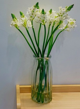 雀梅鲜花白色圣心百合水养鲜花居家插花装饰客厅云南昆明基地直发