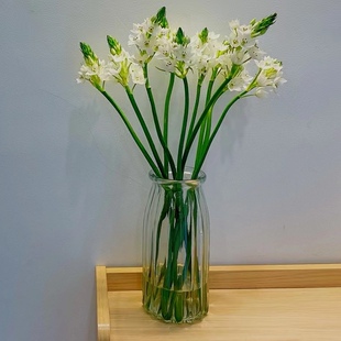 雀梅鲜花白色圣心百合水养鲜花居家插花装饰客厅云南昆明基地直发