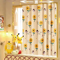 Сольное шоу