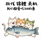 小锦鲤 天机 北伐创业板 一手大V老师 小猫爱吃20cm大鱼风格 logo