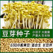 东北黑龙江2025年非转基因690小黄豆发豆芽纳豆专用黄豆珍珠粒新