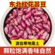 正宗东北黑龙江农家种植2025年新红花芸豆紫花饭豆煮粥豆馅专用