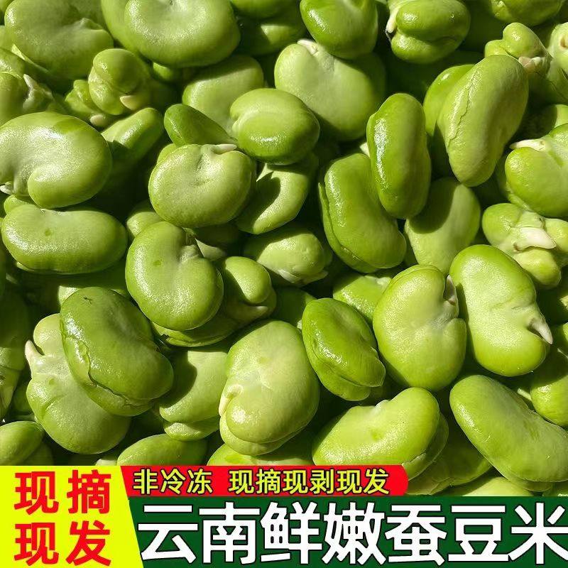 现剥云南新鲜去皮去壳青豆米胡豆米绿心兰花豆罗汉豆米鲜嫩蚕豆米