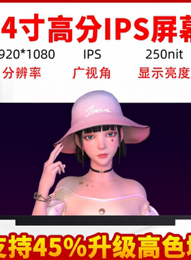 戴尔Inspiron74607472内屏幕