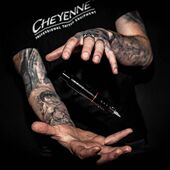 纹身器材套装 拓垦TATTOO德国Cheyenne夏安纹身机HAWK PEN纹身笔
