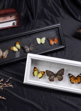 蝴蝶标本相框diy手工中空2cm