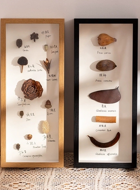 立体中空标本框大尺寸昆虫相框