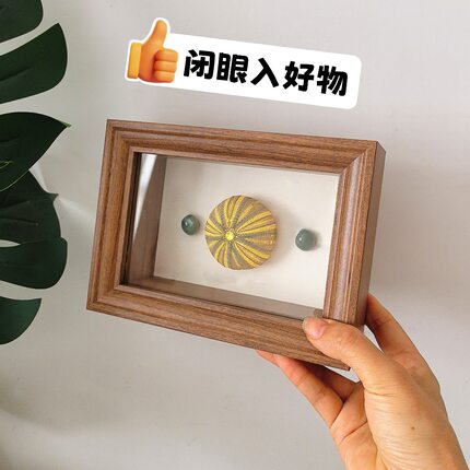 贝壳标本海胆灯欧式蝴蝶昆虫标本收纳框相框diy装裱制作展示摆台