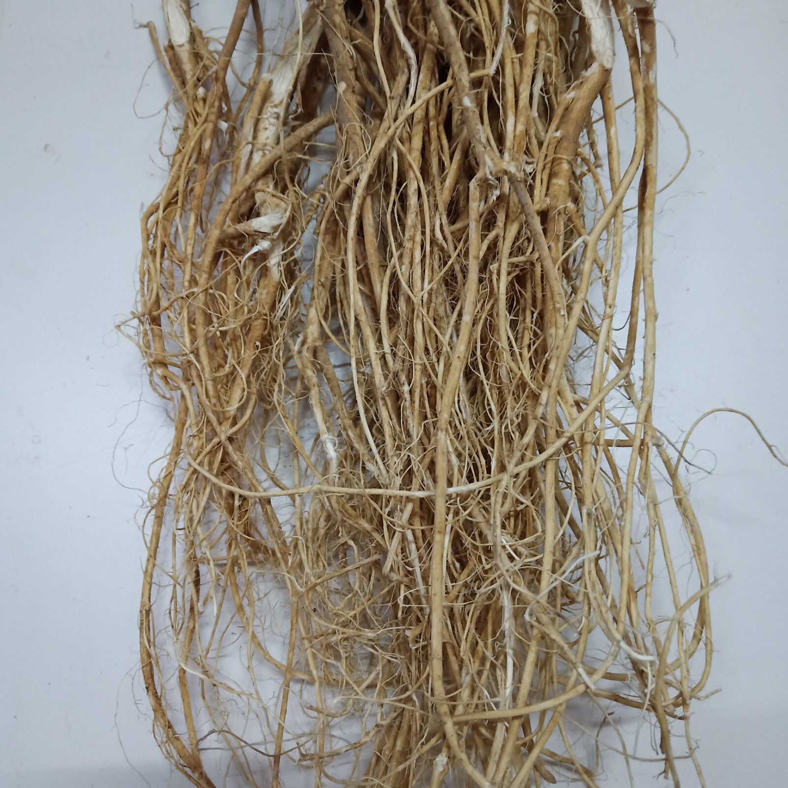 梅州新货野生石参根虎尾轮梅州土特产/中药材/广东煲汤料500g包邮