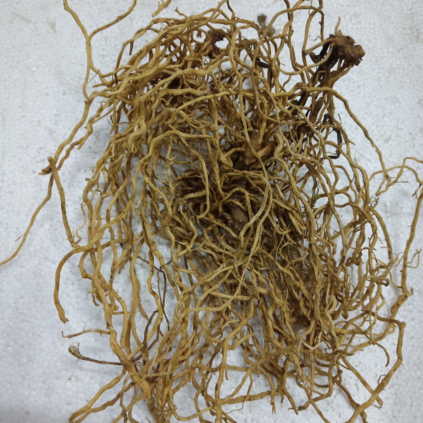 野生中草药牛尾菜根 牛尾结根  竹春根 一抓根500克包邮