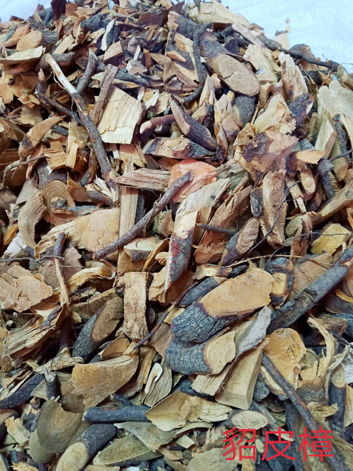 野生中药材豹皮樟 貂皮樟 杨子木姜子 剥皮风 铁牛钻石500克包邮