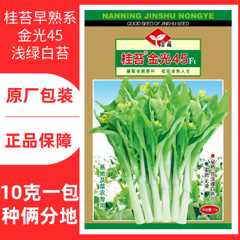 10克金蔬桂苔金光45杂交白菜苔种子桂苔新品早熟苔快大浅绿白色