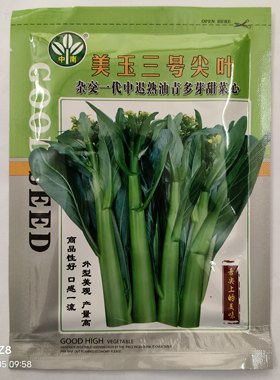 美玉三号菜心种子美玉四号菜心种