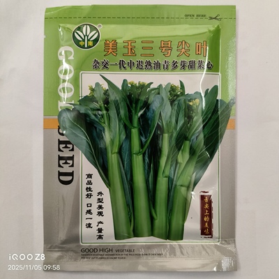 美玉三号菜心种子美玉四号菜心种
