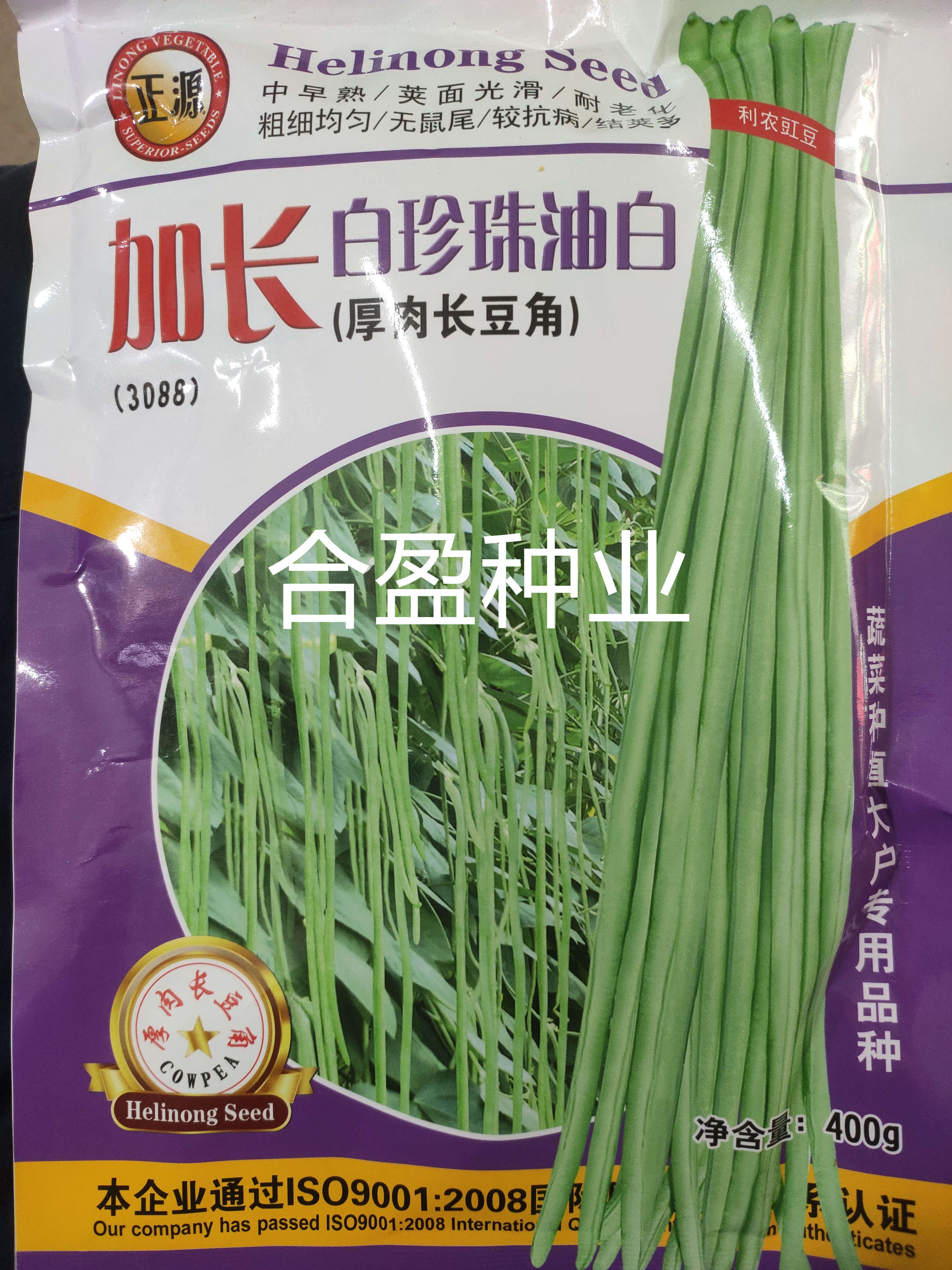 400克汕头正源加长白珍珠油白厚肉长豆角种子麻花绿白条豇豆耐热